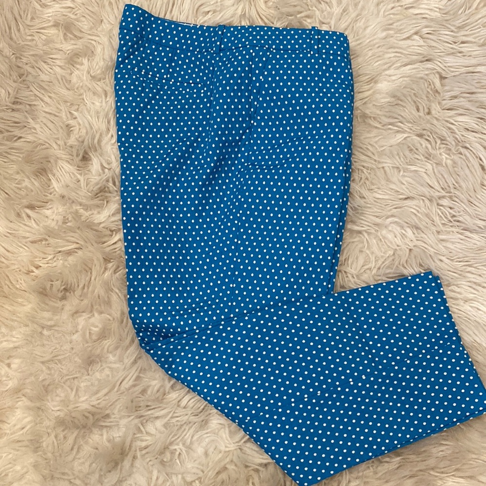 NWOT J.Crew Cafe Capri Pants-Size 10